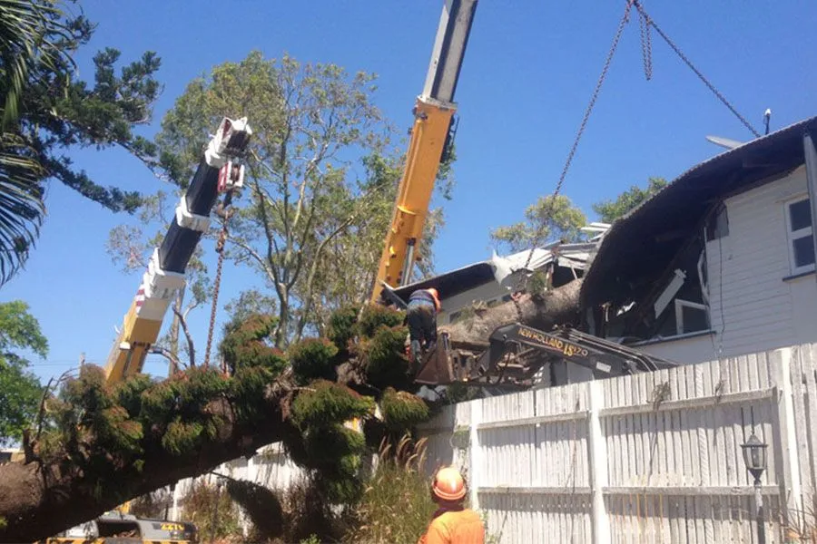 Tree Pruning