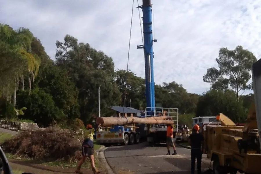Land Clearing