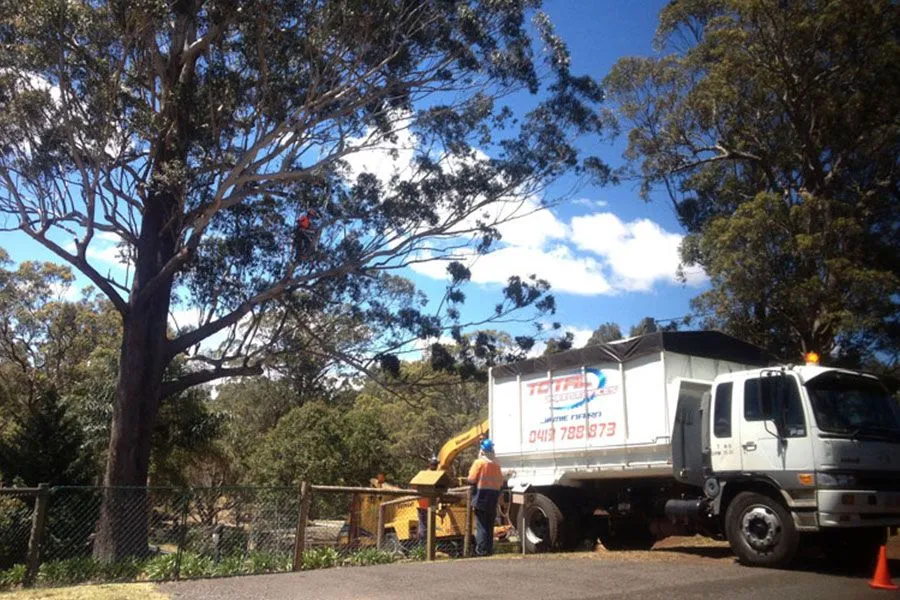 Tree services